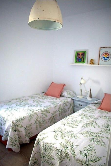 Appartement Espectacular Casa Muy Luminosa Con Azotea à Conil De La Frontera Extérieur photo